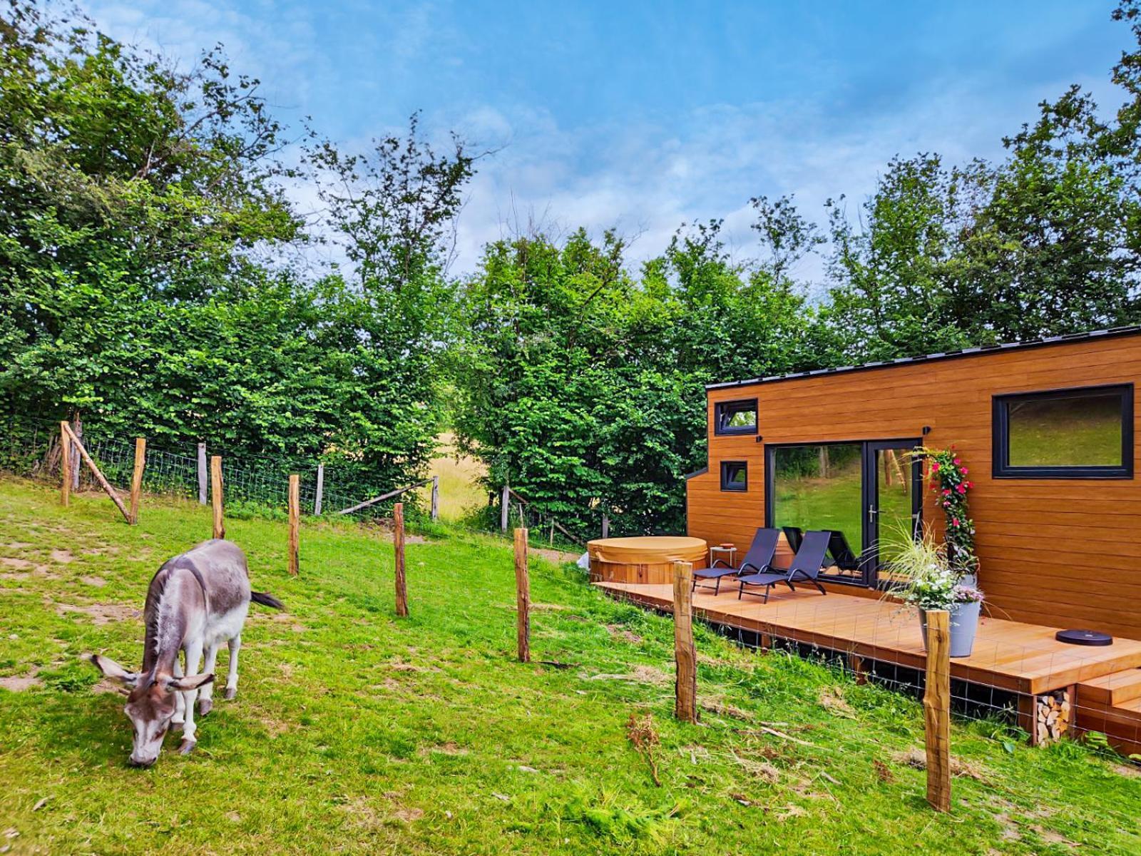 La Mini Maison Du Lama Libin Exteriér fotografie